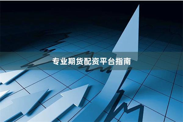 专业期货配资平台指南
