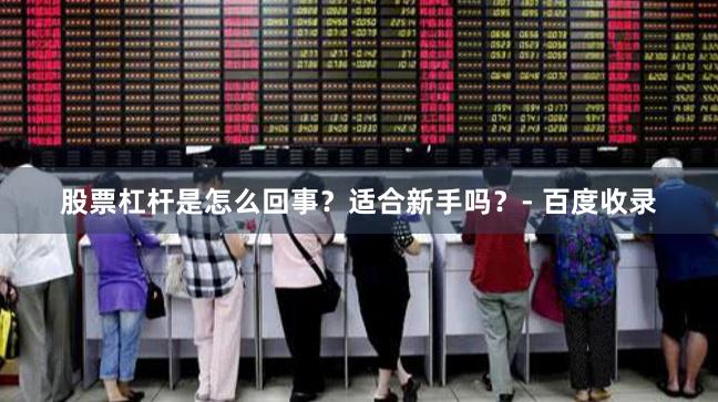 股票杠杆是怎么回事？适合新手吗？- 百度收录